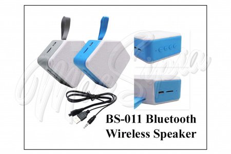 bs_011