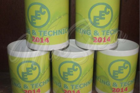 eec_mugs_1243763506