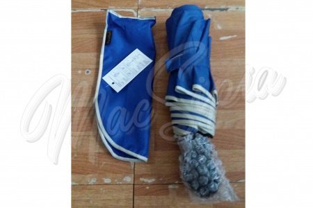 folding_umbrella
