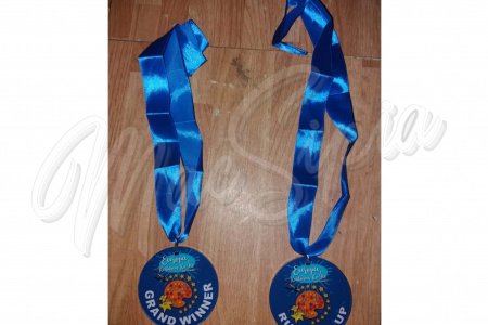 medal_963412917