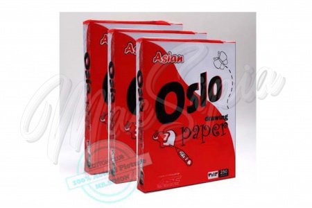 oslo_paper