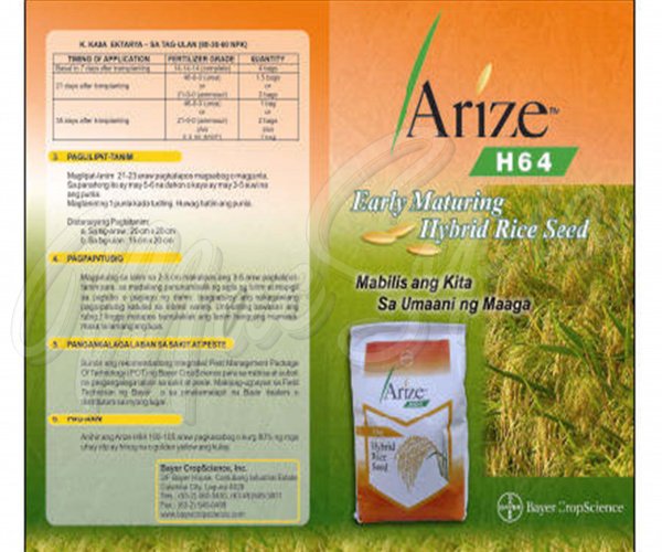 arise_brochure_1136045577