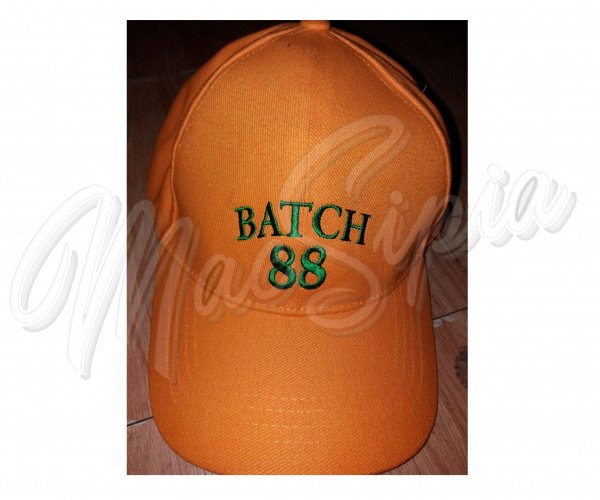 batch_88