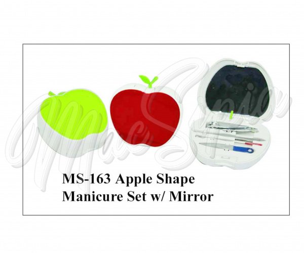 ms_163