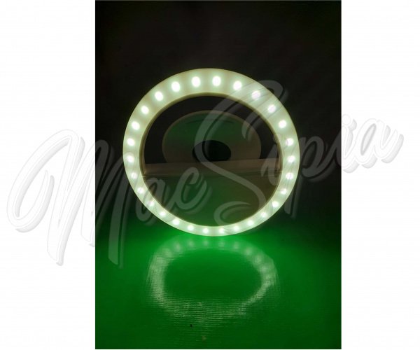 selfie_ring