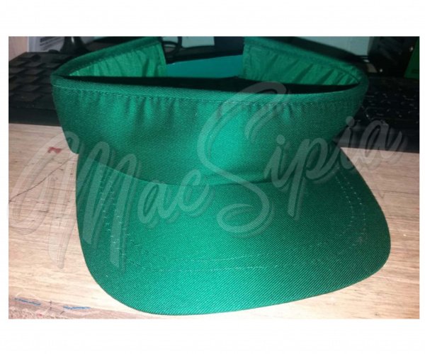 sunvisor_84235508