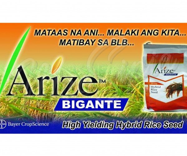 tarpaulin_3