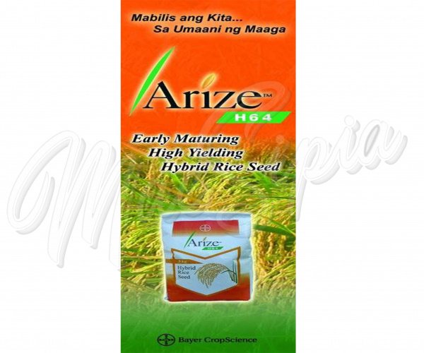 tarpaulin_4